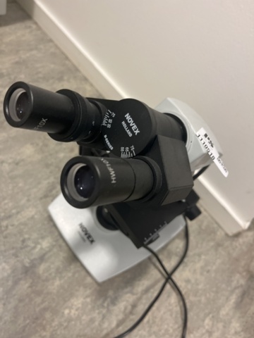 1110518-4 Microscope Novex Holland B-Series