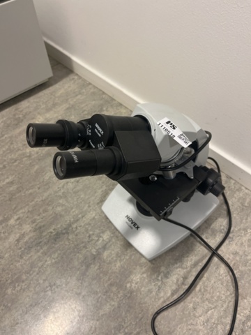 1110518-5 Microscope Novex Holland B-Series