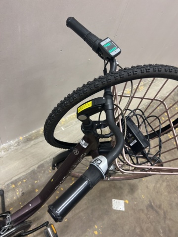 1164262-5 Electric bike Batavus Torino