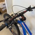 1065749-8 Mountain bike Torpado Uranus 29"
