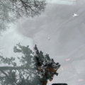 1172837-55 Volvo V70 2.5 20V Automatisk, 165hk, 1999 (repobjekt)