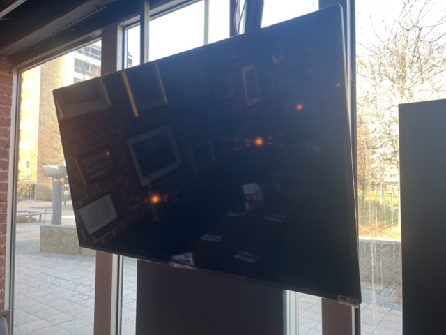 1110556-2 TV skärm - LG