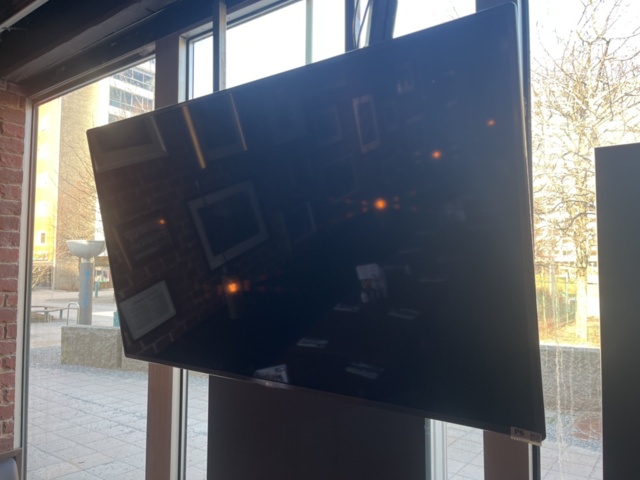 1110556-3 TV skärm - LG