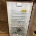 1154255-4 Refrigerator 387 Liters - IKEA FROSTFRI