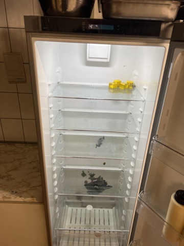 1154255-4 Refrigerator 387 Liters - IKEA FROSTFRI