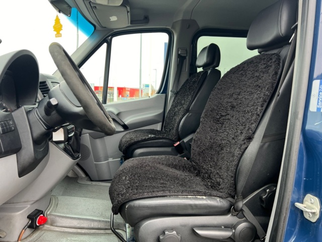 1180416-12 Mercedes-Benz Sprinter 316 NGT MiniBus Automatic, 156hp, 2010