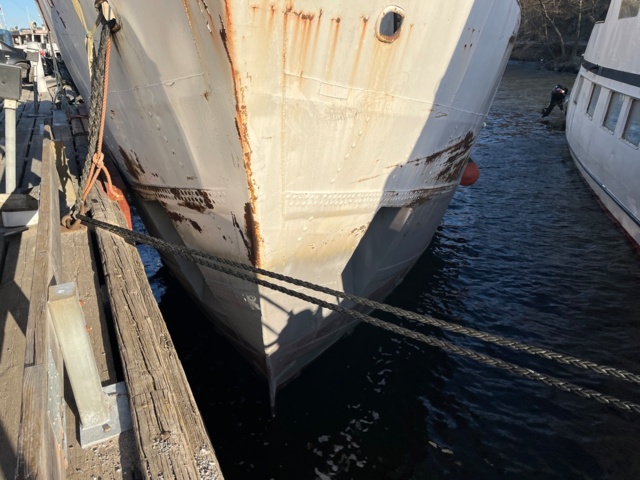 1181560-11 Passenger motor ship Germania, houseboat project started