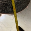 1145094-8 Scrubber, Sorma