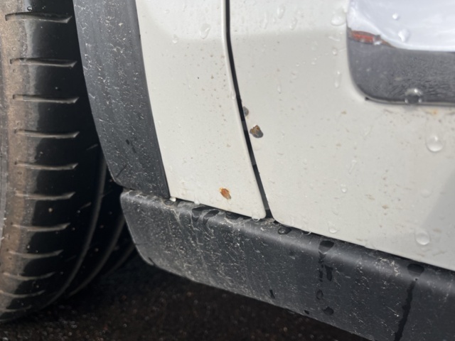 1154211-17 Citroën C5 Tourer 2.2 HDi Automatic, 204hp, 2014