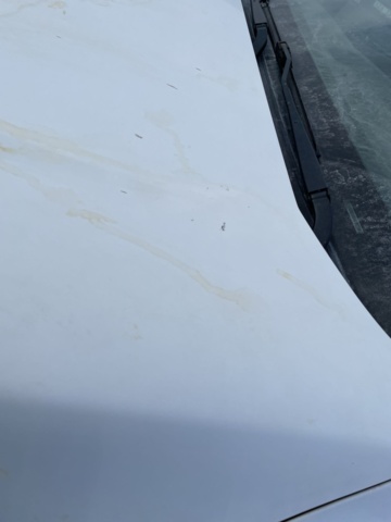 1182683-28 Nissan Navara Dubbelhytt 2.3 dCi 4WD Manuell, 163hk, 2019. Repobjekt.