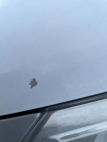 1182683-35 Nissan Navara Dubbelhytt 2.3 dCi 4WD Manuell, 163hk, 2019. Repobjekt.