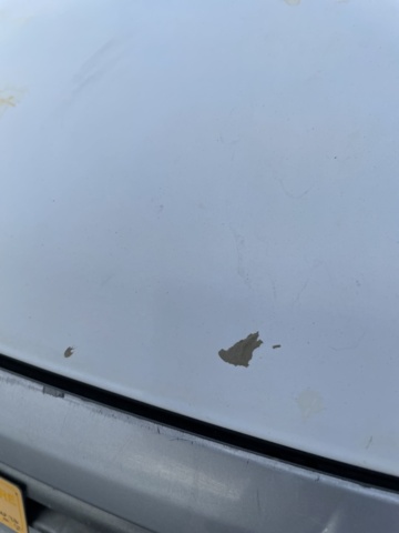 1182683-36 Nissan Navara Dubbelhytt 2.3 dCi 4WD Manuell, 163hk, 2019. Repobjekt.