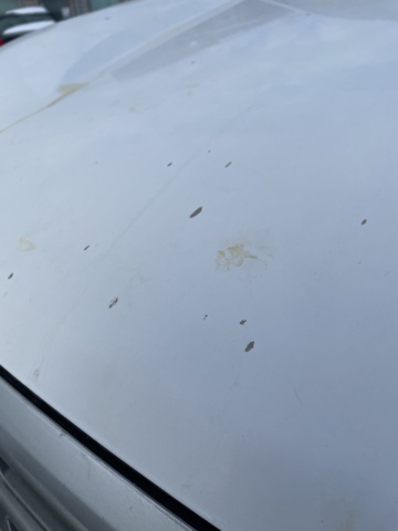 1182683-37 Nissan Navara Dubbelhytt 2.3 dCi 4WD Manuell, 163hk, 2019. Repobjekt.