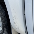 1182683-54 Nissan Navara Dubbelhytt 2.3 dCi 4WD Manuell, 163hk, 2019. Repobjekt.