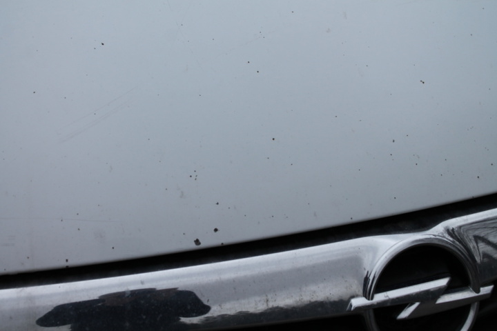 1182090-19 Opel Vivaro Combi 2.9t 2.0 CDTI Manual, 114hp, 2013