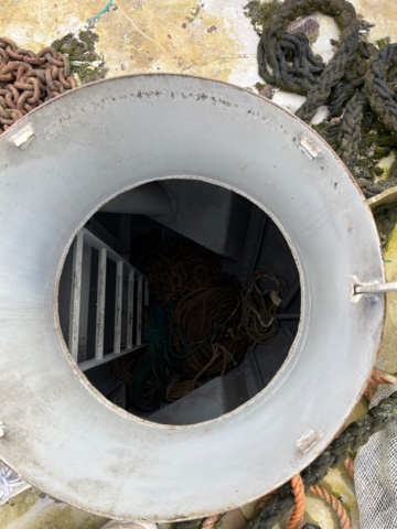 1181560-82 Passenger motor ship Germania, houseboat project started