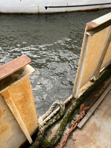 1181560-86 Passenger motor ship Germania, houseboat project started