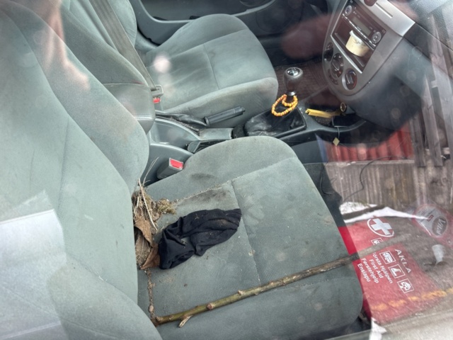 1110620-8 Chevrolet Nubira Wagon 1.6 Manual, 109hp, 2006 (Rep item)