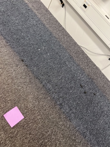 1154414-3 Raised & lowerable table on wheels - Linak