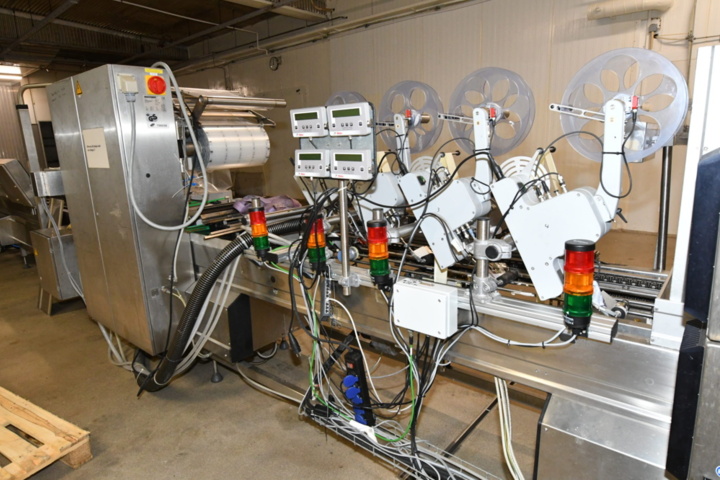 1193640-24 Multivac R530 complete with labeling etc