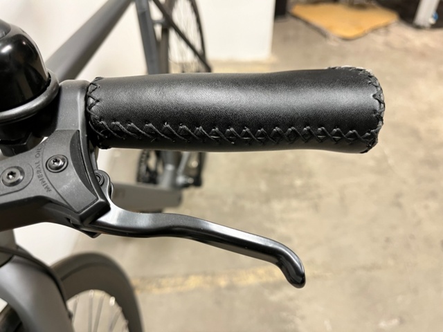 1202058-9 Electric bike Devron 25165 e-Fixie - 0-speed Grey