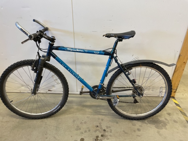 999346-1 Bicycle Signature MT Rainier