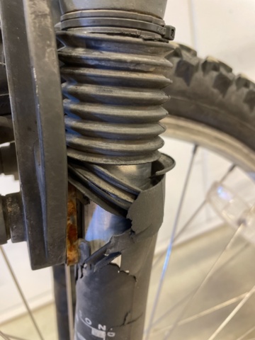 999346-6 Bicycle Signature MT Rainier