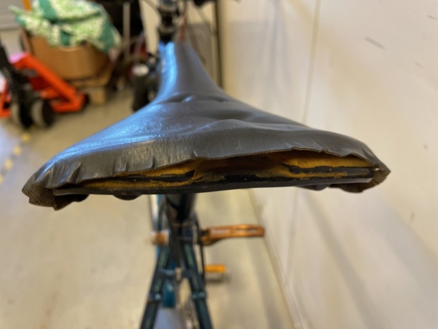 999346-17 Bicycle Signature MT Rainier