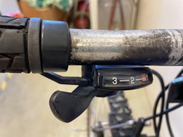 999346-20 Bicycle Signature MT Rainier