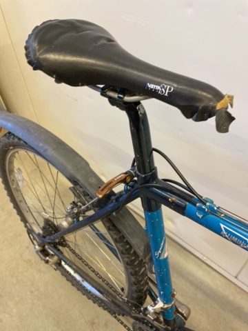 999346-25 Bicycle Signature MT Rainier