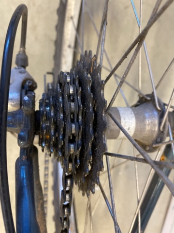 999346-29 Bicycle Signature MT Rainier