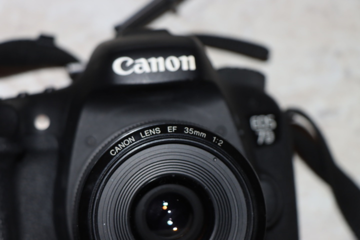 1173591-3 Canon EOS 7D with 35mm lens