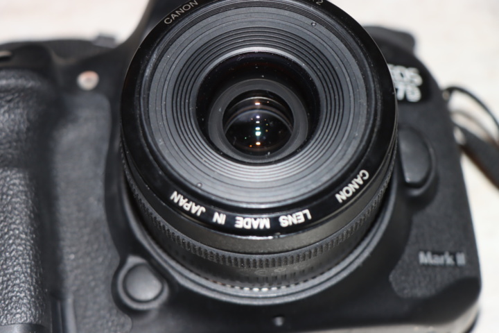 1173591-4 Canon EOS 7D with 35mm lens