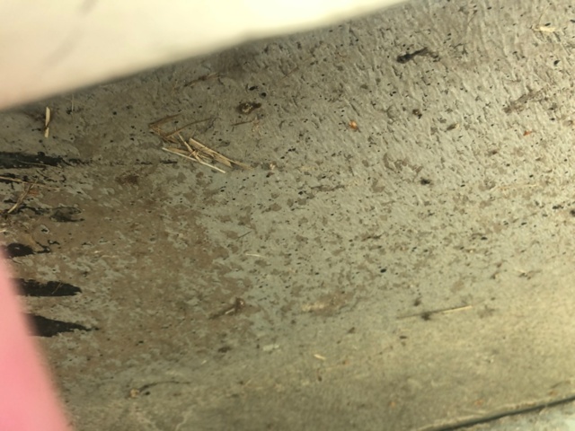 1206071-22 Caravan BURSTER HOLIDAY 540 TM -1992