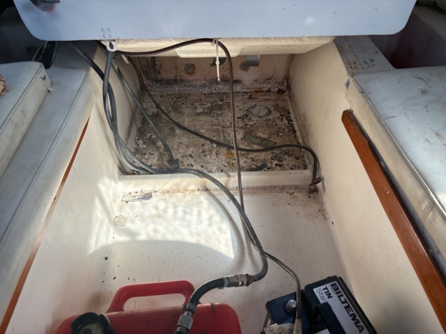 1137491-24 Örnvik 535 HT with Suzuki 115hp + trailer.