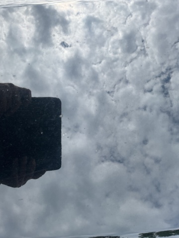 1121566-32 Ford Galaxy -2016