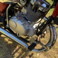 1068338-8 Light MC Kymco Zing 125 RF -1999
