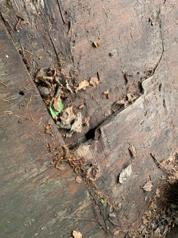 1134615-18 Maco Lift Type Boggi trailer -1990