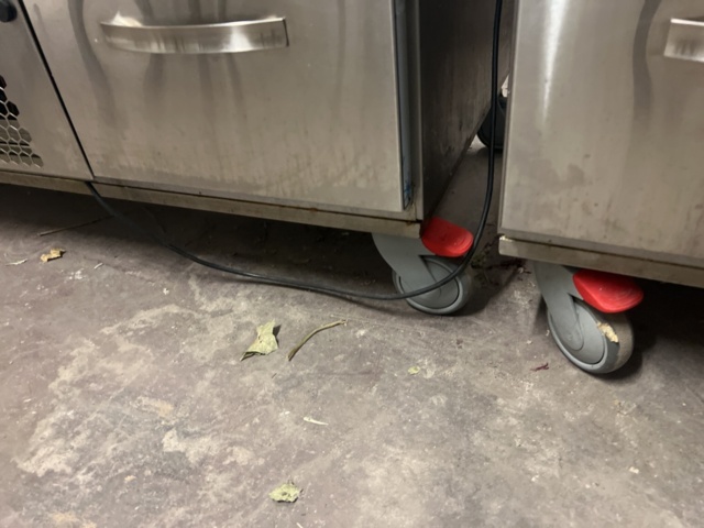 1177840-4 Cold storage bench Inox Baltic KTL-1206 on wheels - 2021