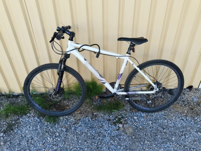 1129563-2 Bicycle Diamant Mogul 2FSD