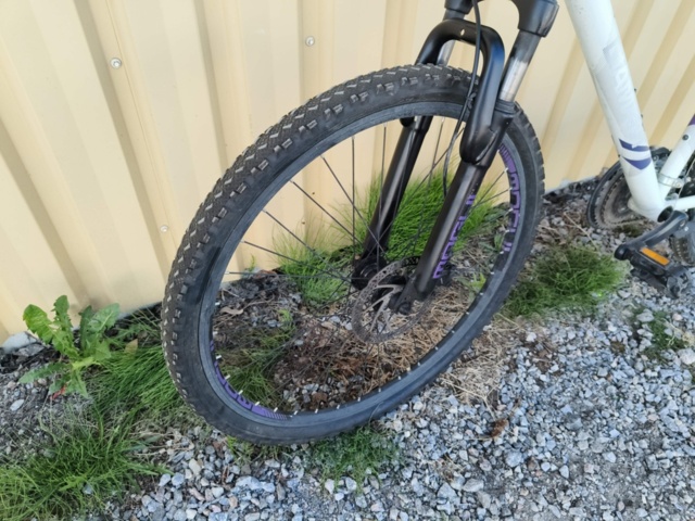 1129563-3 Bicycle Diamant Mogul 2FSD