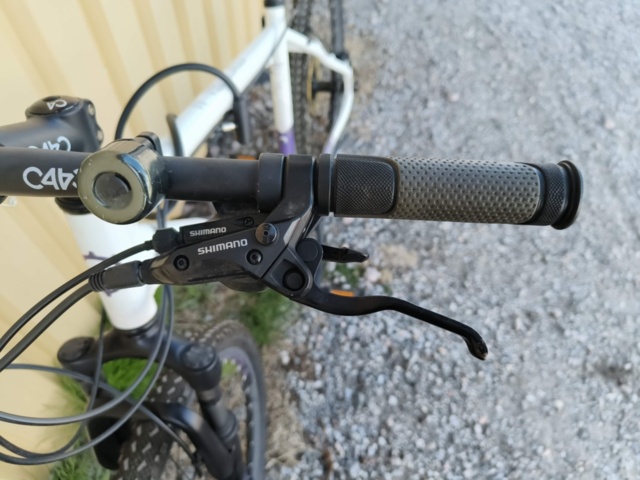 1129563-6 Bicycle Diamant Mogul 2FSD