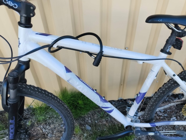 1129563-10 Bicycle Diamant Mogul 2FSD