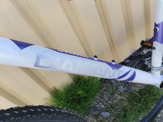 1129563-11 Bicycle Diamant Mogul 2FSD