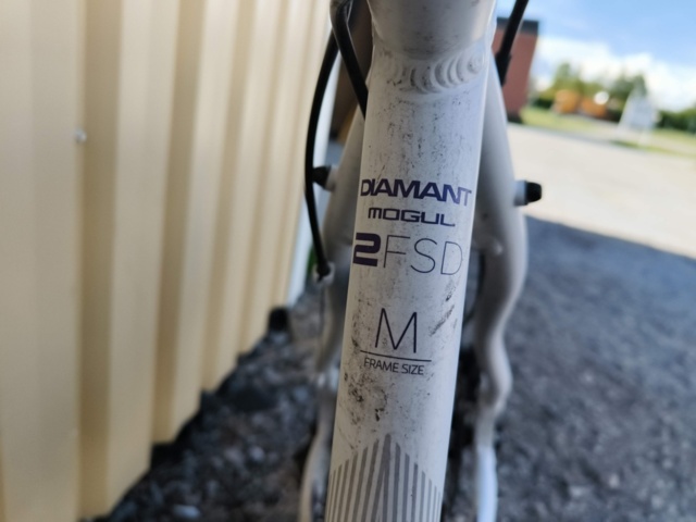1129563-12 Bicycle Diamant Mogul 2FSD
