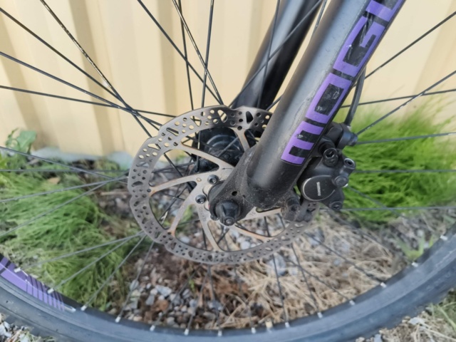 1129563-14 Bicycle Diamant Mogul 2FSD