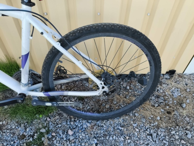 1129563-17 Bicycle Diamant Mogul 2FSD