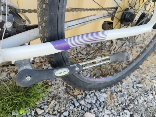 1129563-18 Bicycle Diamant Mogul 2FSD