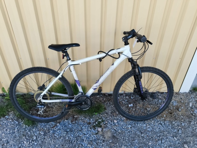 1129563-21 Bicycle Diamant Mogul 2FSD