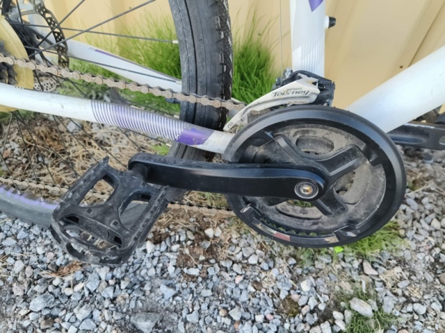 1129563-22 Bicycle Diamant Mogul 2FSD